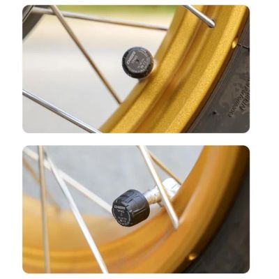 Tire pressure sensors for Chigee devices