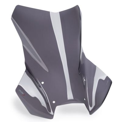 Plexiglass de viagem alto Puig 57cm para BMW R1300GS/A 2023+ (com ACC), fumê escuro