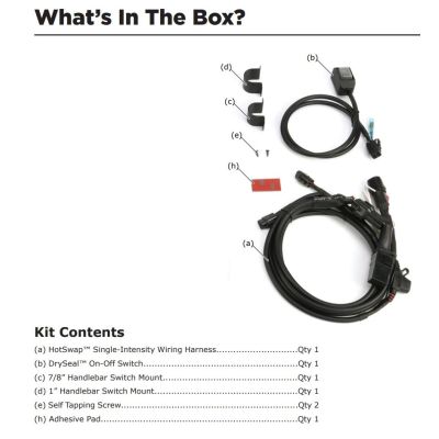 Premium wiring with switch for Denali lights